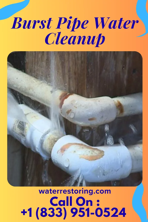 Burst Pipe Water Cleanup in Finderne, NJ