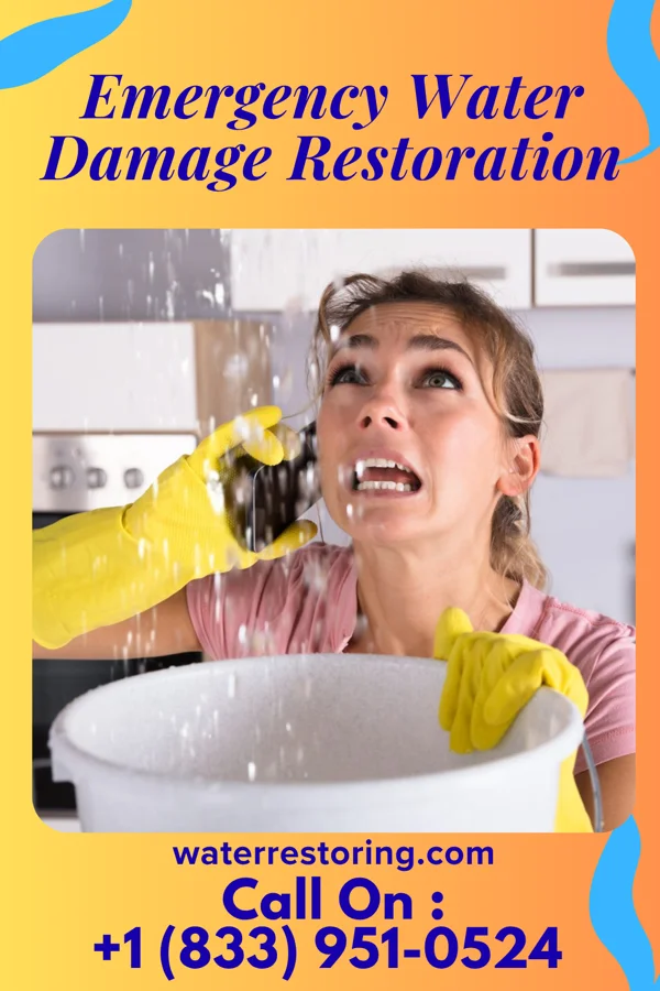 Emergency Water Damage Restoration in Finderne, NJ