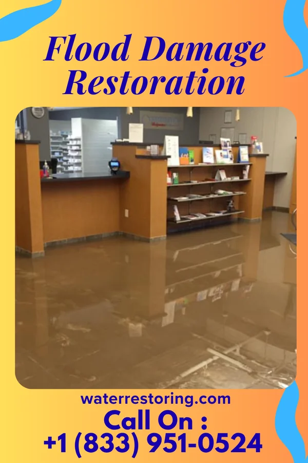 Flood Damage Restoration in Finderne, NJ