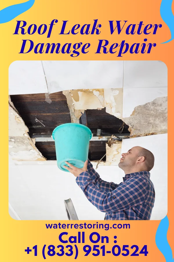 Roof Leak Water Damage Repair in Finderne, NJ