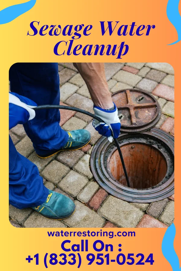 Sewage Water Cleanup in Finderne, NJ