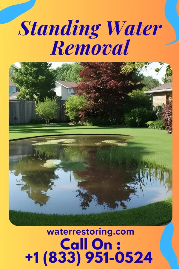 Standing Water Removal in Finderne, NJ